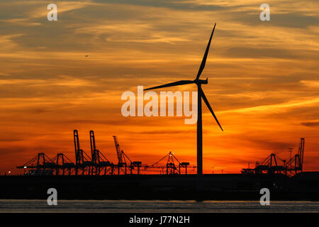 Tilbury, Essex, Royaume-Uni. 23 mai, 2017. Vu le soleil se coucher derrière les grues de quai et les éoliennes de Tilbury Docks de sur la Tamise à Gravesend le soir du 23 mai. Rob Powell/Alamy Live News Banque D'Images