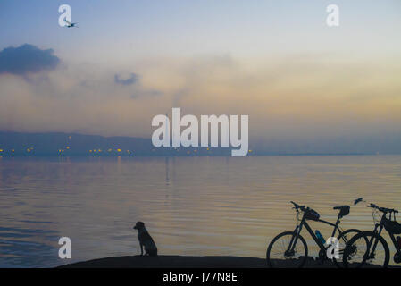 Mumbai, Maharashtra, Inde. 2e Février, 2015. 22 févr. 2017 - Mumbai - INDE.tôt le matin, les poussettes viennent voir Flamingo et autres oiseaux à l'Sewri jetée à Mumbai. Credit : Subhash Sharma/ZUMA/Alamy Fil Live News Banque D'Images