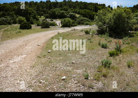 Vélo VTT autour de Pelissanne en Provence Banque D'Images