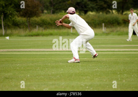 Lancer une balle de cricket fielder Banque D'Images