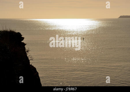 Deux stand up paddleboarders à Torbay. Banque D'Images