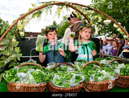 13e Festival annuel de Alresford Cresson, Cresson King & Queen (tous deux âgés de 6 ans) jeter la première saison de récolte watercrest aux foules, Alre Banque D'Images