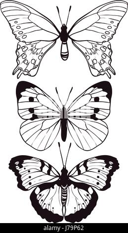 Les papillons set hand drawn Illustration de Vecteur