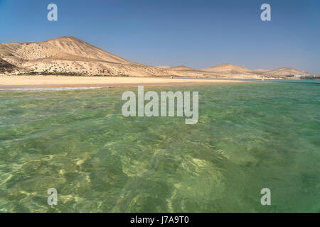 Strand und Dünen an der Playa de Sotavento im Naturpark Jandia, Insel Fuerteventura, Kanarische Inseln, Spanien | plage et des dunes de Playa de Sotave Banque D'Images