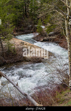 Courant Rapide de Lee Vining Creek de la fonte complète de l'écoulement dans les montagnes de la Sierra Nevada en Californie en 2017 après des années de sécheresse ont une fin. Banque D'Images