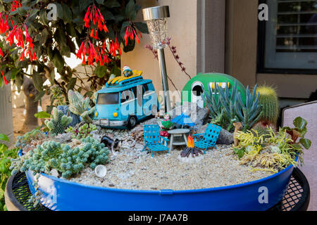 Jardin de cactus. Cactus miniature fairy garden dans une table du semoir. Banque D'Images