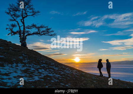 Scène Silhouette de l'arbre sacré au Cap Cap Burkhan sur l'île d'Olkhon sur le Lac Baïkal au coucher du soleil Banque D'Images