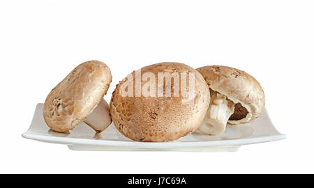 Les champignons champignon Agaricus bisporus, sur une assiette blanche, Close up, fond blanc Banque D'Images