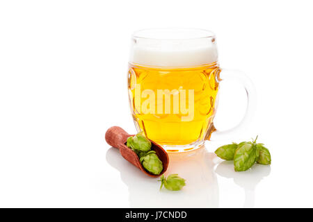 Verre de bière avec hop fruit dans spoon isolé sur fond blanc. Boire de la bière fraîche. Banque D'Images