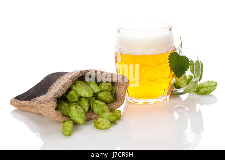 Verre de bière avec hop fruit en sac de toile. isolé sur fond blanc Banque D'Images