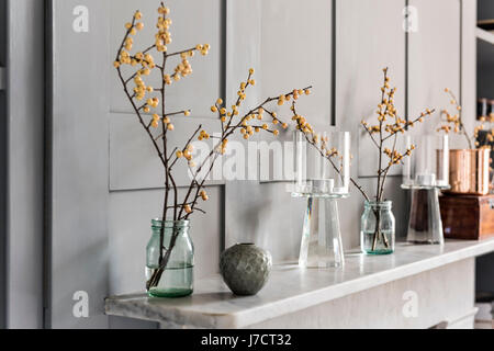 Branches de l'hiver de l'or dans la bouteille de lait en verre et un pot par akiko hirai sur la cheminée. Banque D'Images