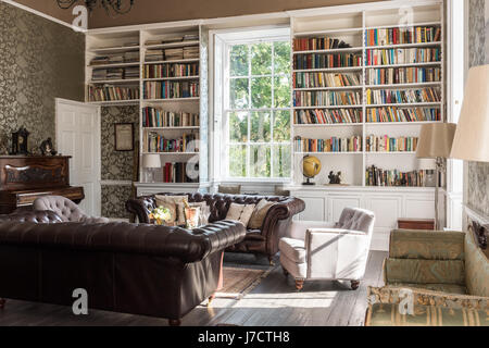 Paire de canapés de style Chesterfield en cuir de chouchous de Chelsea dans la bibliothèque avec étagères ouvertes Banque D'Images