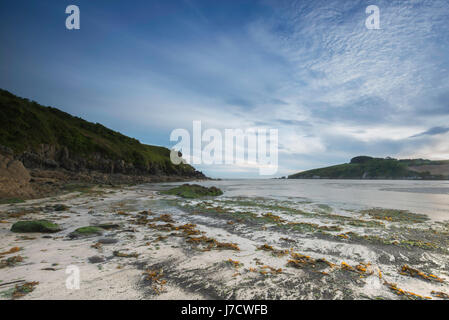 Wonwell Beach à l'embouchure de la rivière Erme dans le sud du Devon. Banque D'Images