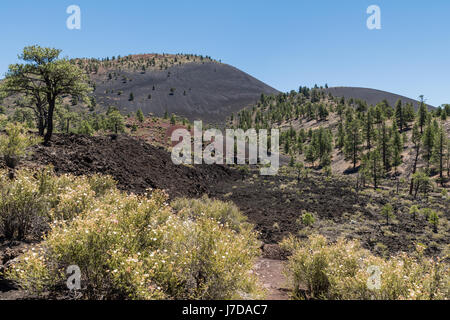 Dans le Sunset Crater Volcano Sunset Crater National Monument près de Flagstaff, Arizona sous un ciel bleu clair. Banque D'Images