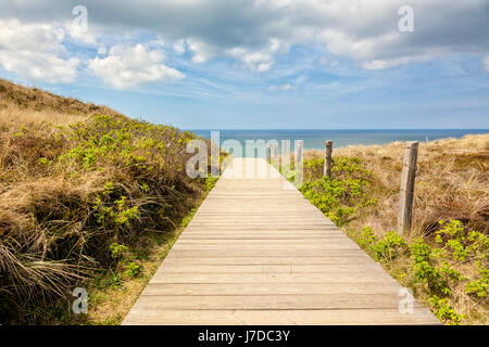 Chemin de bois par les dunes de la plage de Kampen, Sylt, Allemagne Banque D'Images