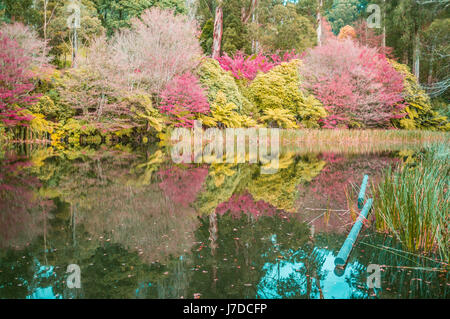 Le lac en automne. Jardins des rhododendrons nationale, Olinda, l'Australie. Banque D'Images