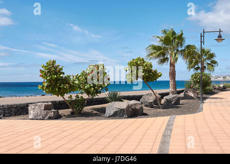 L'île de Lanzarote, Playa de los Pocillos, promenade Banque D'Images