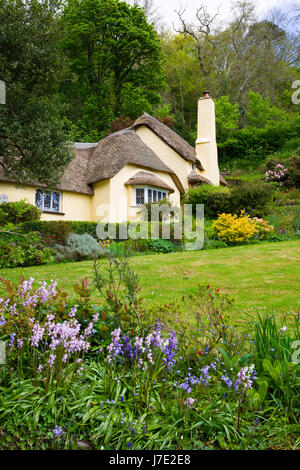 Le National Trust village de Selworthy en Parc National d'Exmoor, Somerset, Angleterre. Banque D'Images