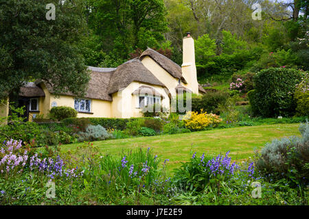 Le National Trust village de Selworthy en Parc National d'Exmoor, Somerset, Angleterre. Banque D'Images