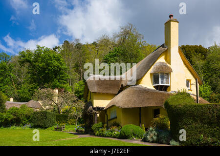 Le National Trust village de Selworthy en Parc National d'Exmoor, Somerset, Angleterre. Banque D'Images