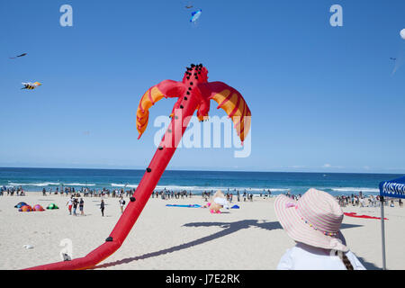 Festival du vent, Bondi Beach, Sydney. Cerfs-volants. Banque D'Images