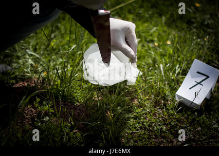 La scène du crime, le meurtre, l'enquête, la police a trouvé un couteau sanglant dans l'herbe et considérée comme une preuve d'expert, avec des gants de caoutchouc est pris et mis Banque D'Images