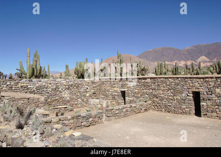 El Pucará ruines à Tilcara, Quebrada de Humahuaca, Argentine Banque D'Images