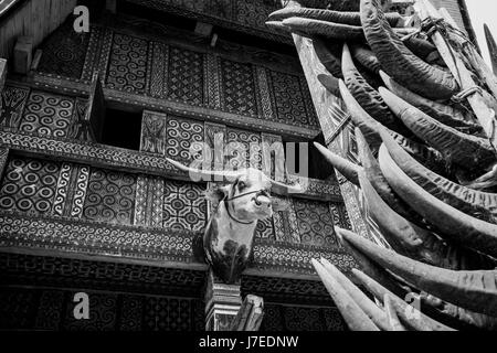 Tête de buffle orne une maison Tongkonan Toraja en cornes de buffle avec haute empilée sur un poteau à l'entrée de cette habitation traditionnelle et unique Banque D'Images