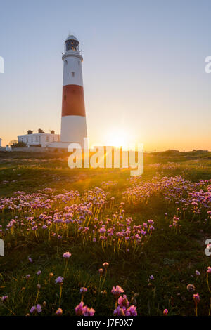 Portland Bill, Dorset, UK. 25 mai, 2017. Soleil se lève derrière le phare sur un claear et lumineux matin avec promesse de la journée la plus chaude depuis le début de l'année. Prévisions des températures d'être au milieu des années 20 centigrades. Crédit : Dan Tucker/Alamy Live News Banque D'Images