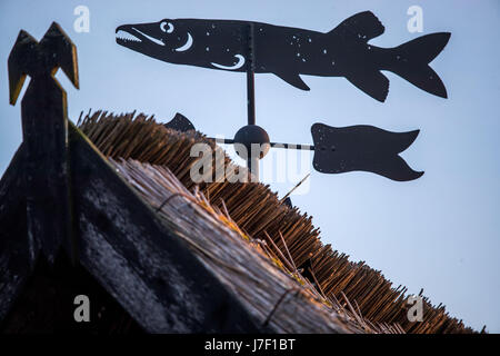 Rügen, Allemagne. 18 mai, 2017. Une girouette en forme de poisson est en images sur Neu Reddevitz Blatic l'île de Rügen, Allemagne, 18 mai 2017. Rügen est la plus grande et la plus peuplée de l'île allemande avec 77,000 habitants. Photo : Jens Büttner/dpa-Zentralbild/ZB/dpa/Alamy Live News Banque D'Images