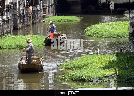 Hangzhou. 25 mai, 2017. Photo prise le 25 mai 2017 présente le watermifoil dans une rivière de Xitang, ville ancienne, la Chine de l'est la province de Zhejiang. Watermifoil est planté dans la rivière pour la purification de l'eau. Credit : Wang Dingchang/Xinhua/Alamy Live News Banque D'Images