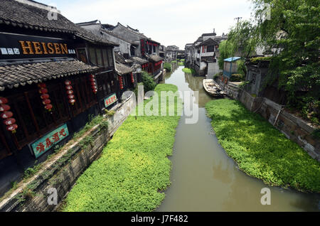 Hangzhou. 25 mai, 2017. Photo prise le 25 mai 2017 présente le watermifoil dans une rivière de Xitang, ville ancienne, la Chine de l'est la province de Zhejiang. Watermifoil est planté dans la rivière pour la purification de l'eau. Credit : Wang Dingchang/Xinhua/Alamy Live News Banque D'Images