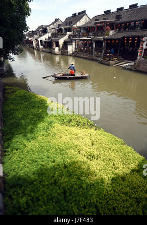 Hangzhou. 25 mai, 2017. Photo prise le 25 mai 2017 présente le watermifoil dans une rivière de Xitang, ville ancienne, la Chine de l'est la province de Zhejiang. Watermifoil est planté dans la rivière pour la purification de l'eau. Credit : Wang Dingchang/Xinhua/Alamy Live News Banque D'Images