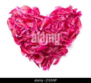 Coeur en pétales de pivoine Photo Stock - Alamy
