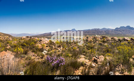 Le paysage dans le Ceder montagnes près de Clanwilliam, Northern Cape, Afrique du Sud Banque D'Images