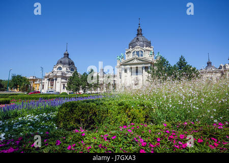 Thermes et bains médicinaux de Szechenyi Spa, Budapest, Hongrie. Banque D'Images