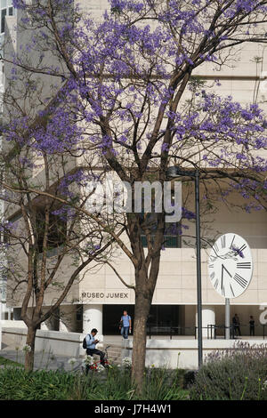 Museo Jumex dans le riche quartier de Polanco Mexico City, Mexique Banque D'Images