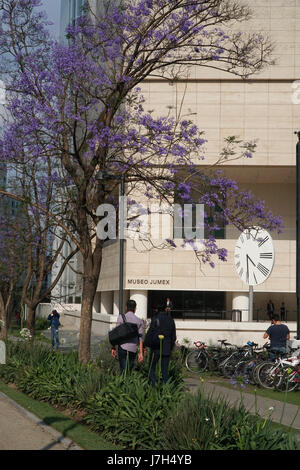 Museo Jumex dans le riche quartier de Polanco Mexico City, Mexique Banque D'Images