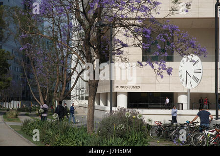 Museo Jumex dans le riche quartier de Polanco Mexico City, Mexique Banque D'Images