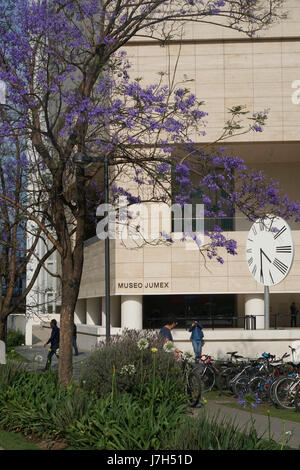 Museo Jumex dans le riche quartier de Polanco Mexico City, Mexique Banque D'Images