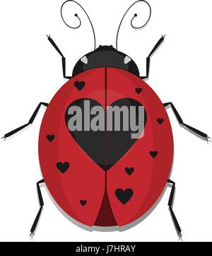 Les coccinelles coccinelle avec coeur, aile tachetée coccinelle vecteur ikon isolé sur fond blanc. Illustration de Vecteur