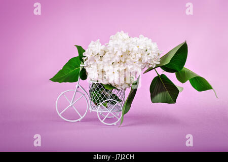 Branches de lilas dans un panier décoratif sur fond violet. Banque D'Images