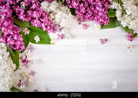 Branche de lilas blanc couché sur un fond de bois. Banque D'Images