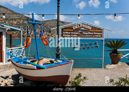 Les pieuvres accroché à sécher sur les lignes de lavage, plage de Plaka, Crète, Grèce, Europe Banque D'Images