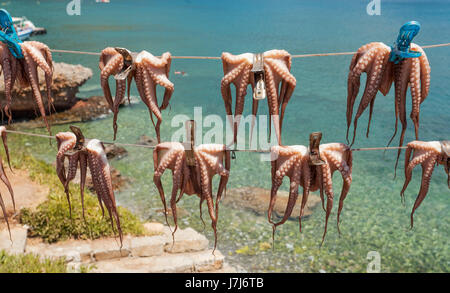 Les pieuvres accroché à sécher sur les lignes de lavage, plage de Plaka, Crète, Grèce, Europe Banque D'Images