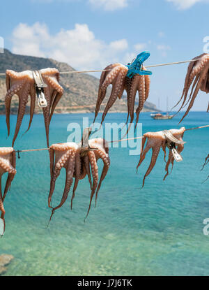 Les pieuvres accroché à sécher sur les lignes de lavage, plage de Plaka, Crète, Grèce, Europe Banque D'Images