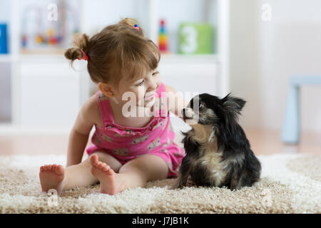 Enfant fille avec petit chien poilu noir chihuahua doggy Banque D'Images