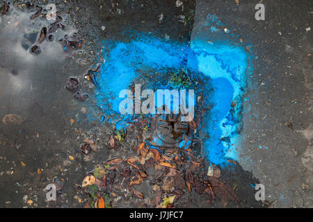 Fuite d eau sortant d'une fuite de la soupape d'arrêt Thames Water PLC marqués avec de la peinture bleu, dans la chaussée à l'extérieur d'une maison. London, UK. Banque D'Images