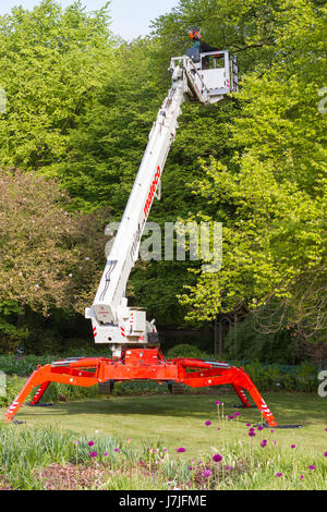 Grue automotrice avec jambes extensibles et chenilles utilisé pour couper des branches d'arbres Banque D'Images