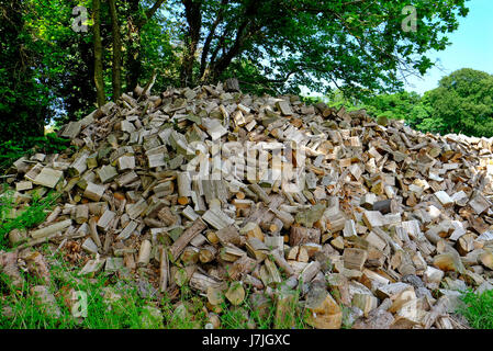 Gros tas de bois de chauffage coupé, Norfolk, Angleterre Banque D'Images